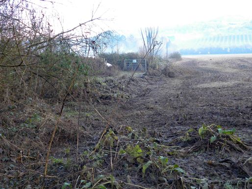 Newmill Bridge CrPrk Fence10 3.12.19
