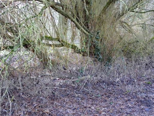 Newmill Bridge CrPrk Fence5 3.12.19