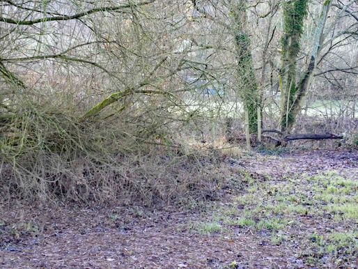 Newmill Bridge CrPrk Fence6 3.12.19