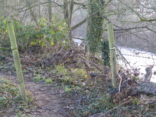 Newmill Bridge CrPrk Fence8A 3.12.19