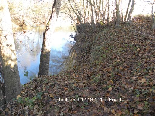 Tenbury 10a 3.12.19 1.2m